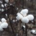 ‘Not OK’: Cotton On called out over product